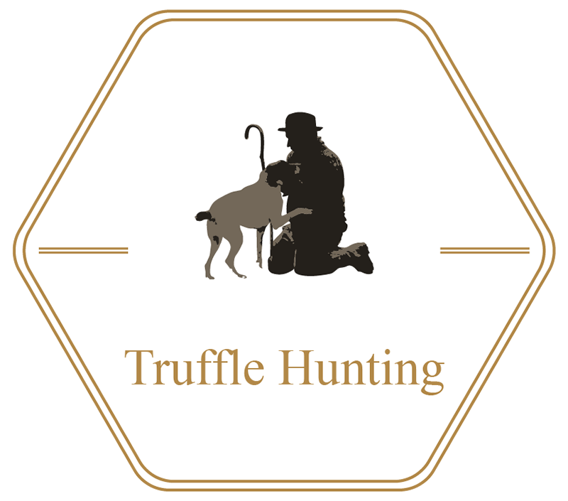 Truffle Hunting