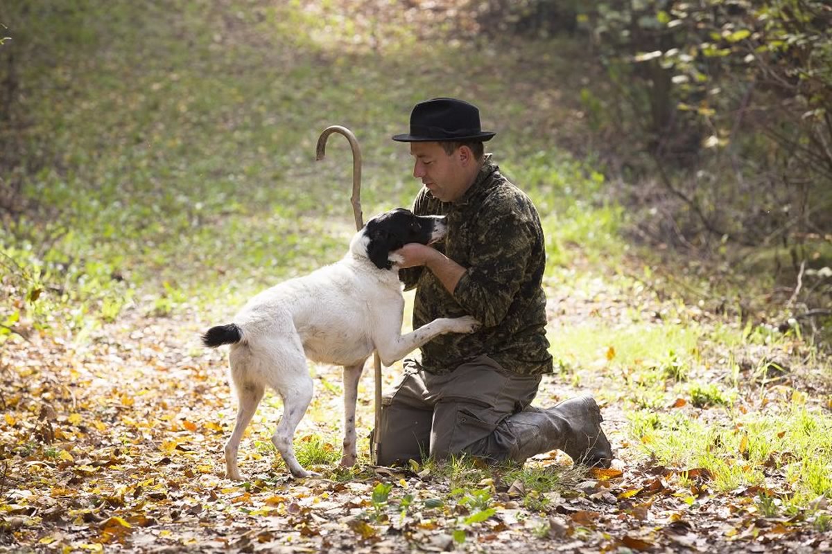 Truffle Hunting
